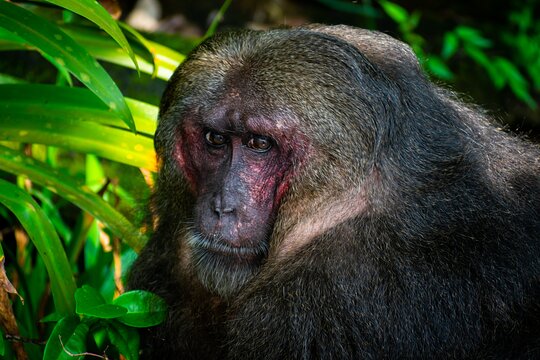 Tour image 7